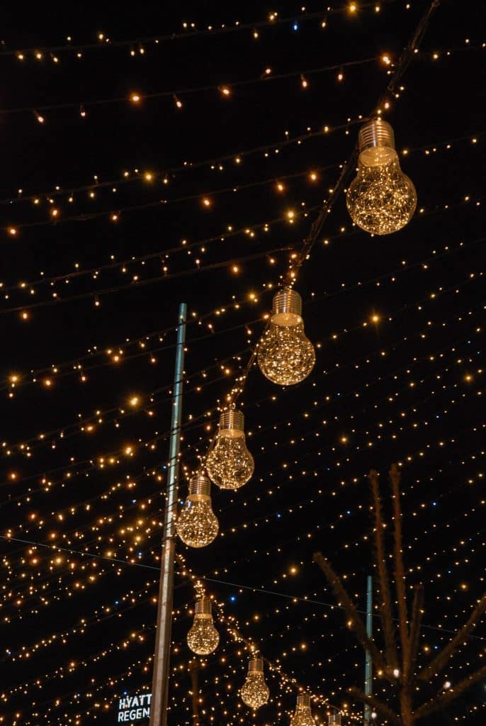 Read more about the article A Guide to Choosing the Perfect Outdoor Christmas Lights: Trends and Tips