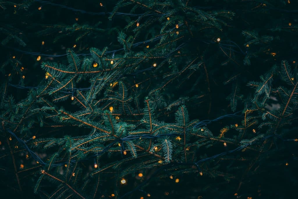 Read more about the article Dos and Don’ts of Outdoor Christmas Lighting