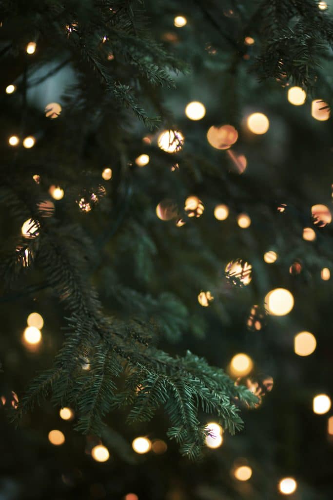 Read more about the article DIY vs. Professional Christmas Light Installation: What to Consider